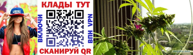 Что такое Бахчисарай Бошки Шишки Alpha PVP ГАШИШ Меф