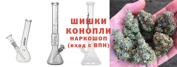 спайс Алзамай
