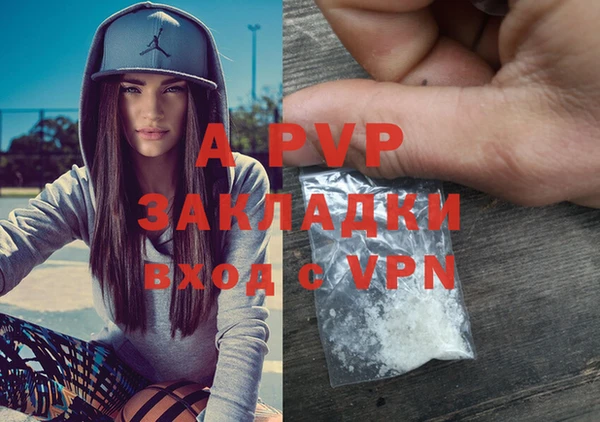 спайс Алзамай