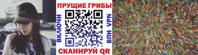 Псилоцибиновые грибы Psilocybe купить Бахчисарай